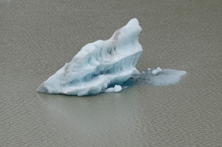 DSCF2569 (Medium).JPG