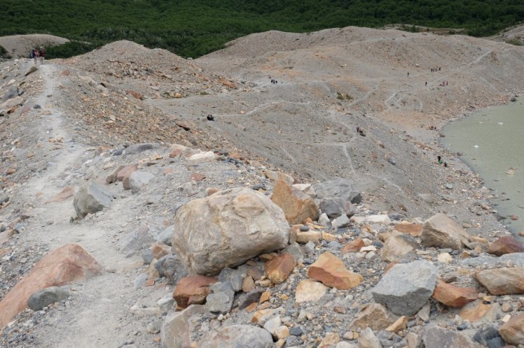 DSCF2570 (Medium).JPG