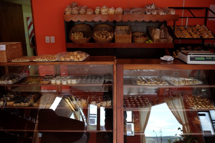 DSCF2667 (Medium).JPG