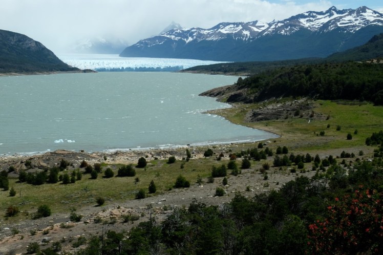 DSCF2817 (Medium).JPG