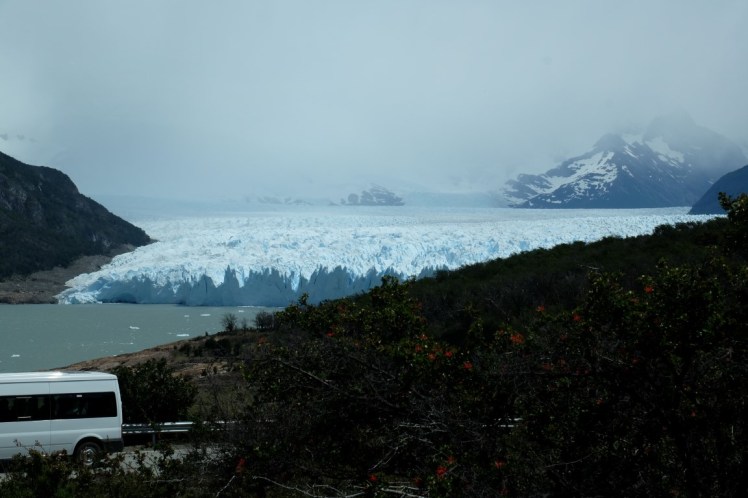 DSCF2823 (Medium).JPG