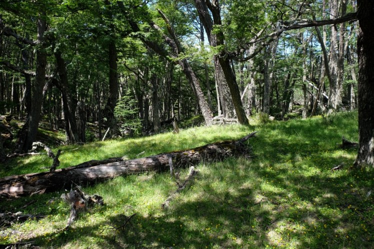 DSCF2839 (Medium).JPG