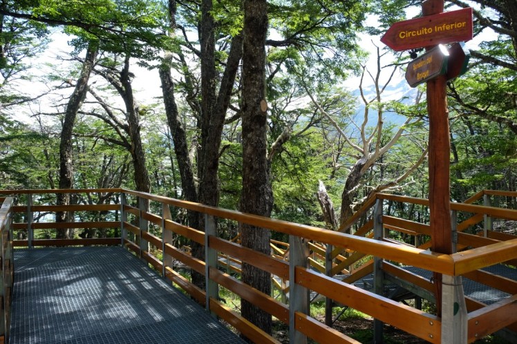 DSCF2841 (Medium).JPG