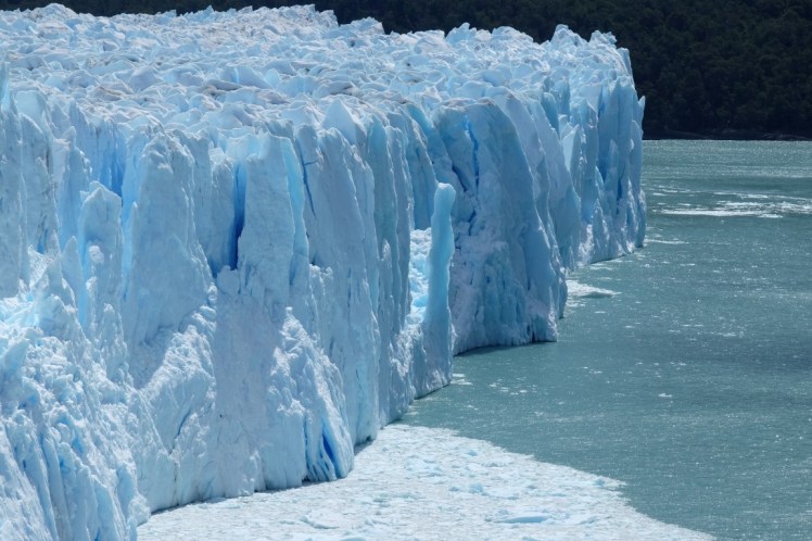 DSCF2883 (Medium).JPG