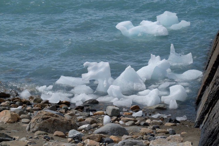 DSCF2938 (Medium).JPG