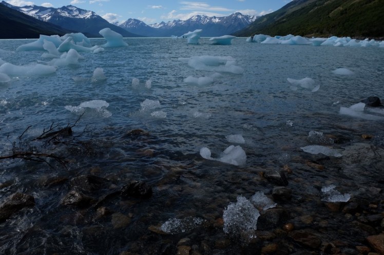 DSCF2964 (Medium).JPG