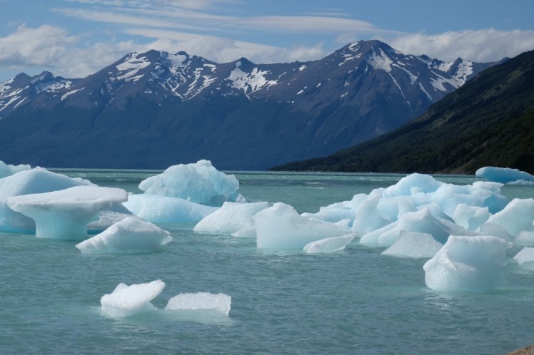 DSCF2968 (Medium).JPG