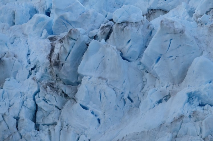 DSCF3042 (Medium).JPG