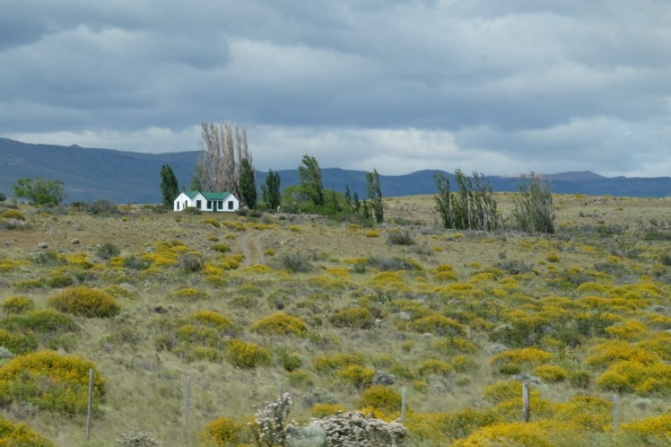 DSCF3121 (Medium).JPG