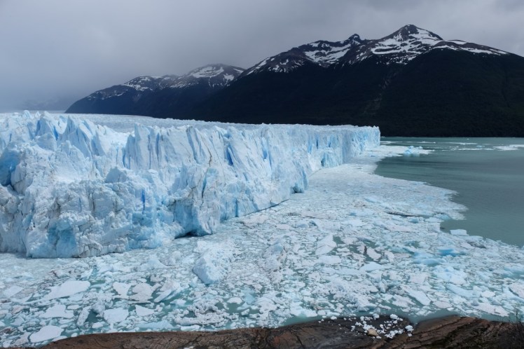 DSCF3150 (Medium).JPG