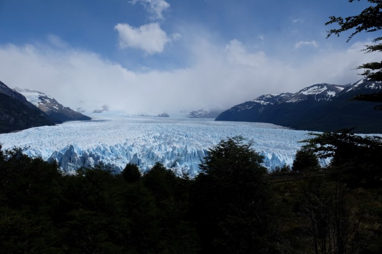 DSCF3193 (Medium).JPG