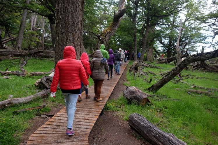 DSCF3235 (Medium).JPG