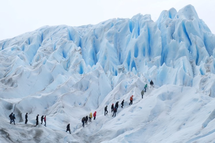 DSCF3242 (Medium).JPG