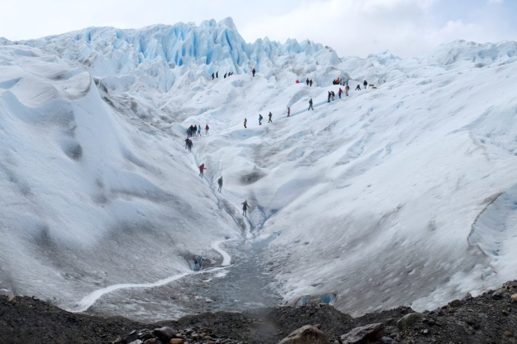 DSCF3243 (Medium).JPG