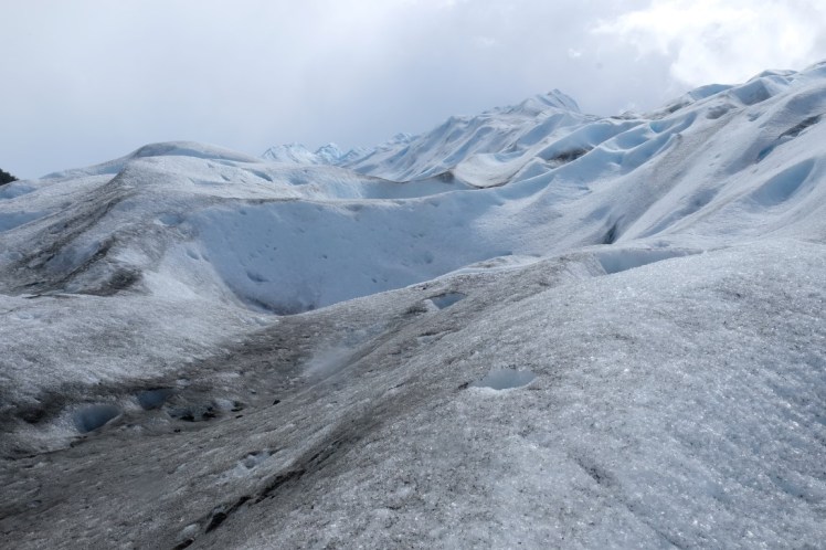 DSCF3246 (Medium).JPG