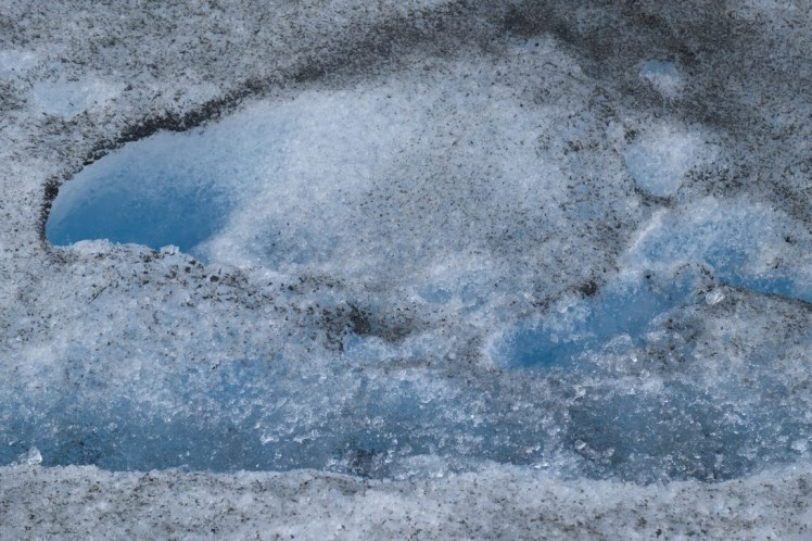 DSCF3251 (Medium).JPG