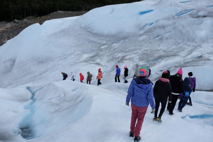 DSCF3309 (Medium).JPG