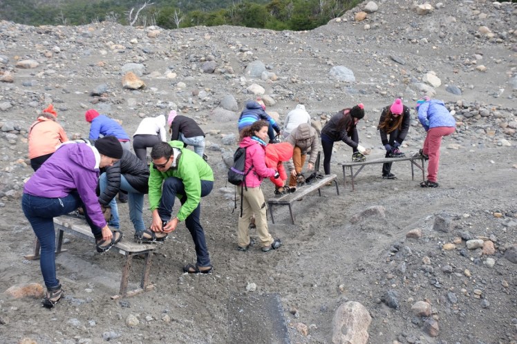 DSCF3316 (Medium).JPG