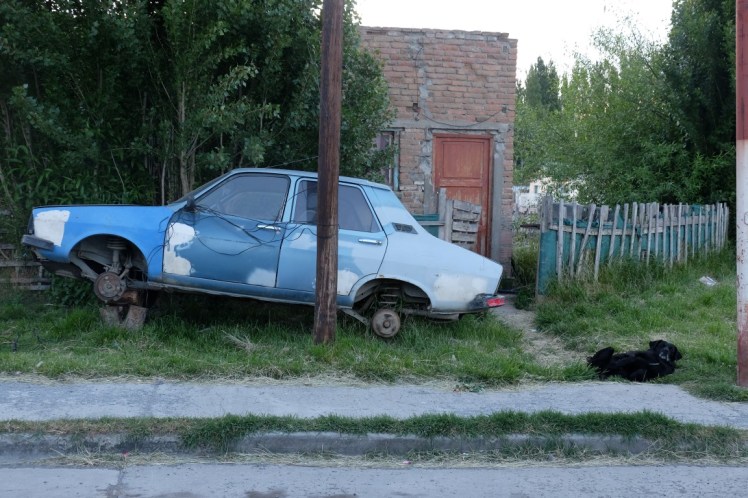 DSCF3346 (Medium).JPG