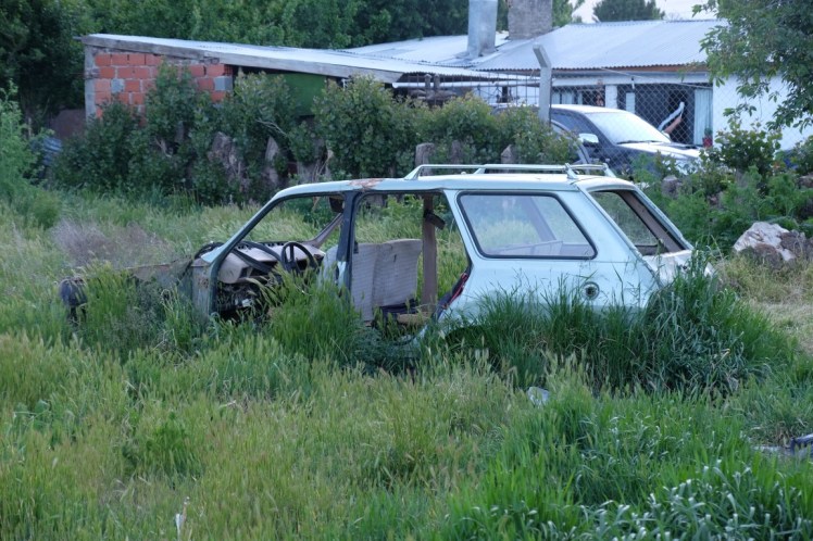 DSCF3349 (Medium).JPG