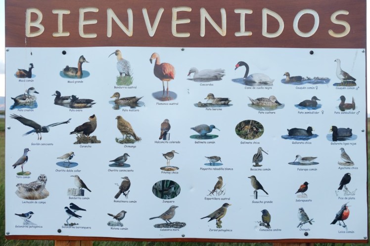 DSCF3359 (Medium).JPG