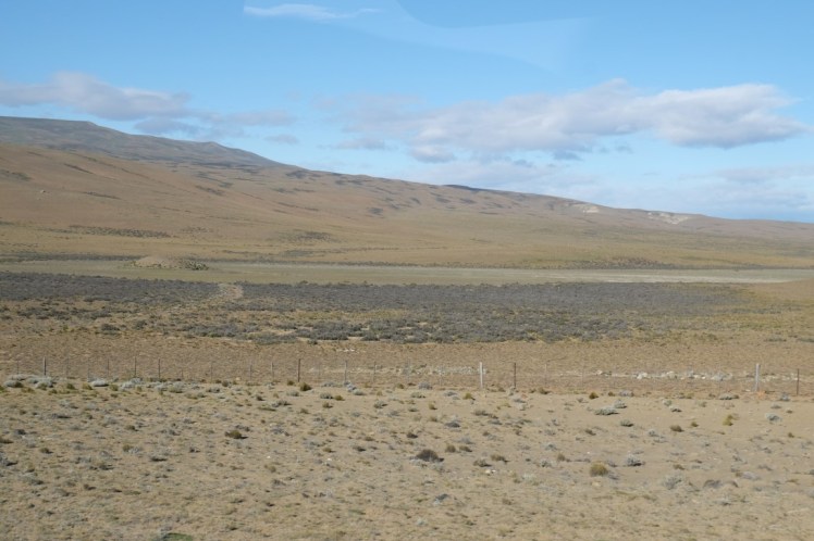 DSCF3470 (Medium).JPG