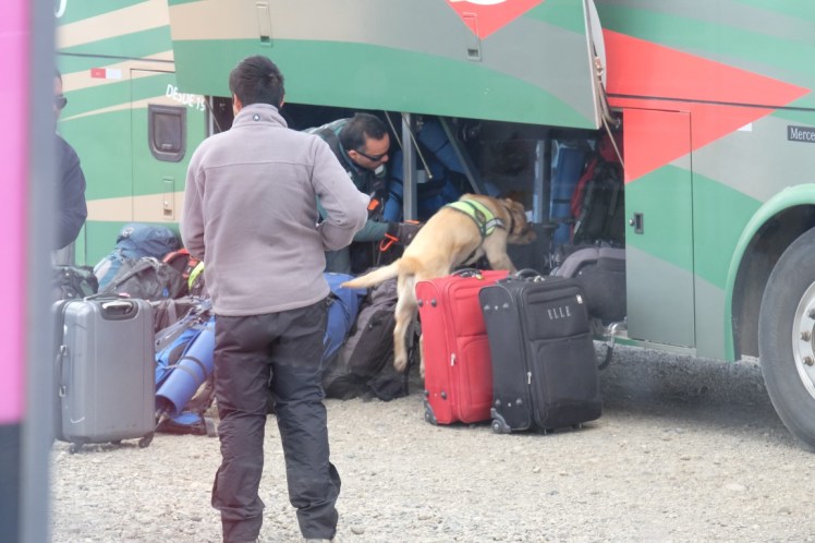 DSCF3489 (Medium).JPG