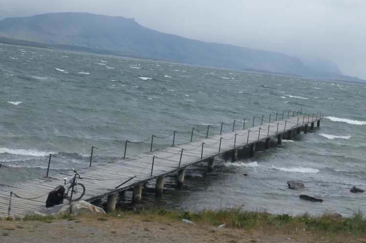 DSCF3496 (Medium).JPG