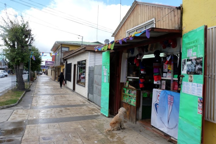 DSCF3521 (Medium).JPG