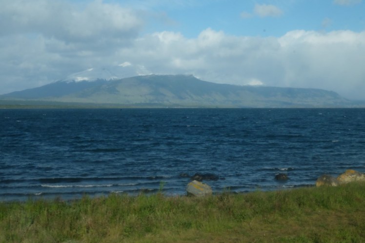 DSCF3563 (Medium).JPG