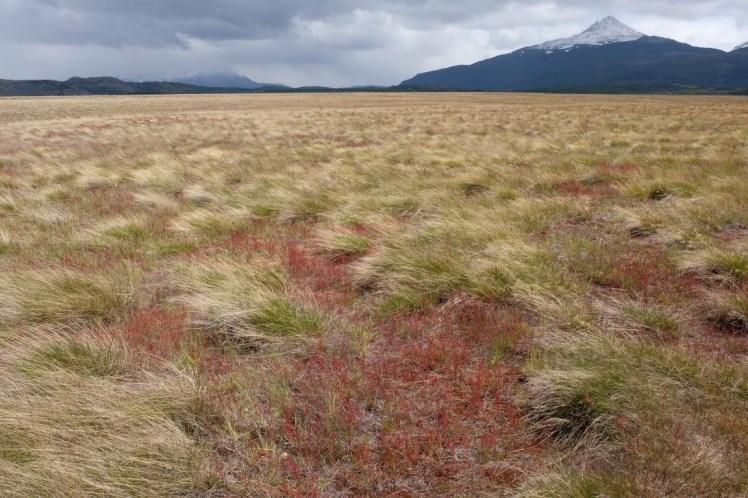 DSCF3666 (Medium).JPG