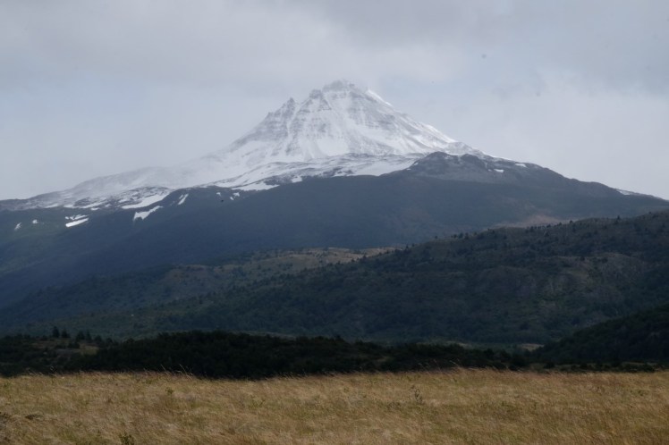 DSCF3674 (Medium).JPG