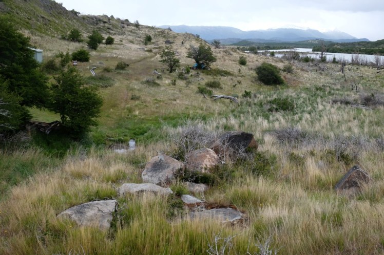 DSCF3695 (Medium).JPG