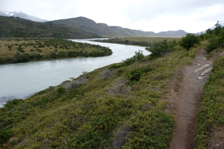 DSCF3706 (Medium).JPG