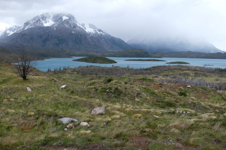 DSCF3757 (Medium).JPG