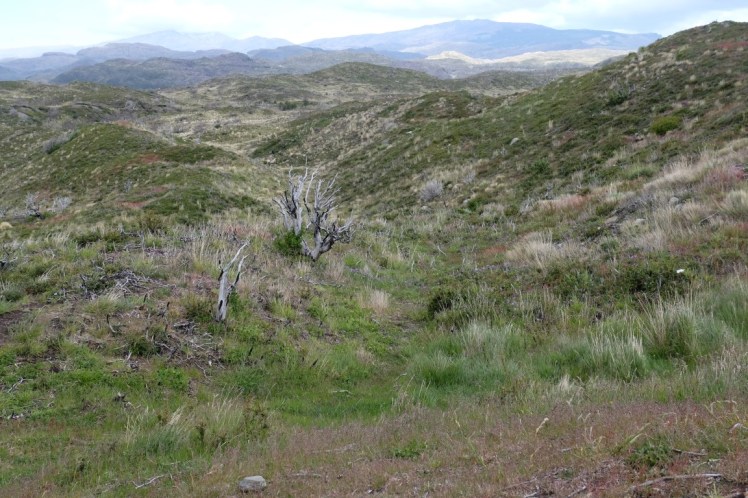 DSCF3759 (Medium).JPG