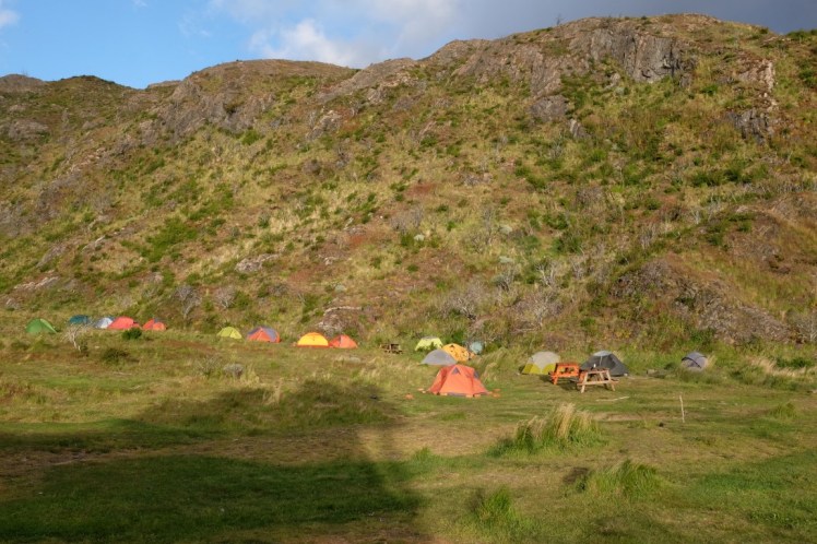 DSCF3788 (Medium).JPG