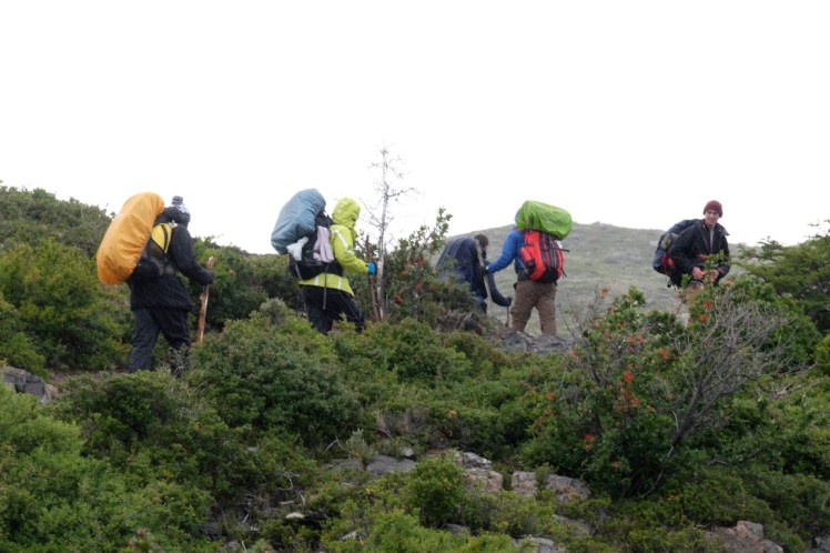 DSCF3810 (Medium).JPG