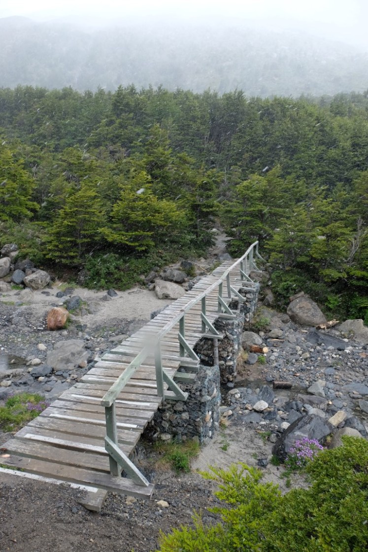 DSCF3914 (Medium).JPG