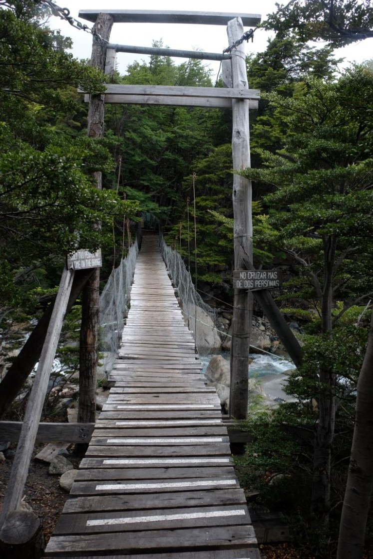 DSCF3919 (Medium).JPG