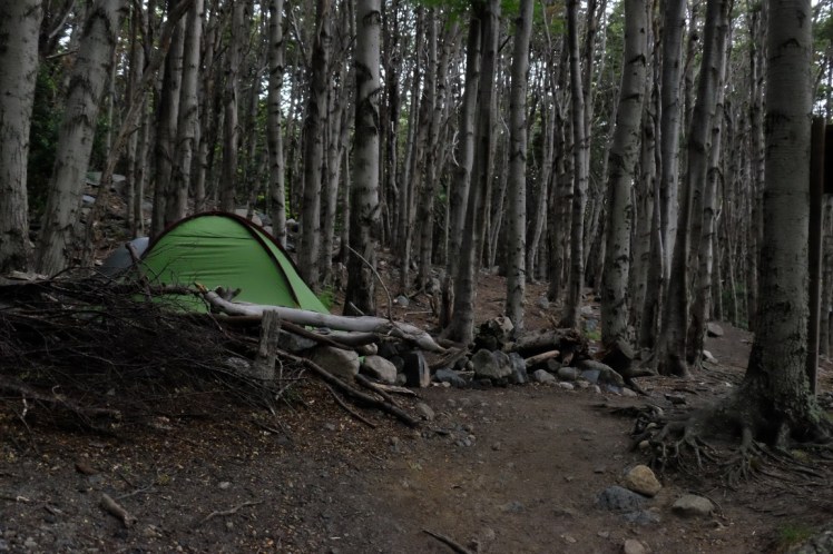 DSCF4060 (Medium).JPG