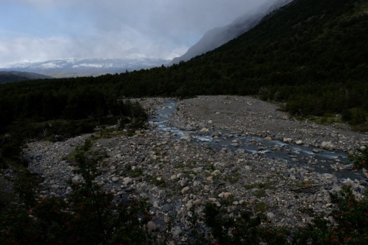 DSCF4067 (Medium).JPG