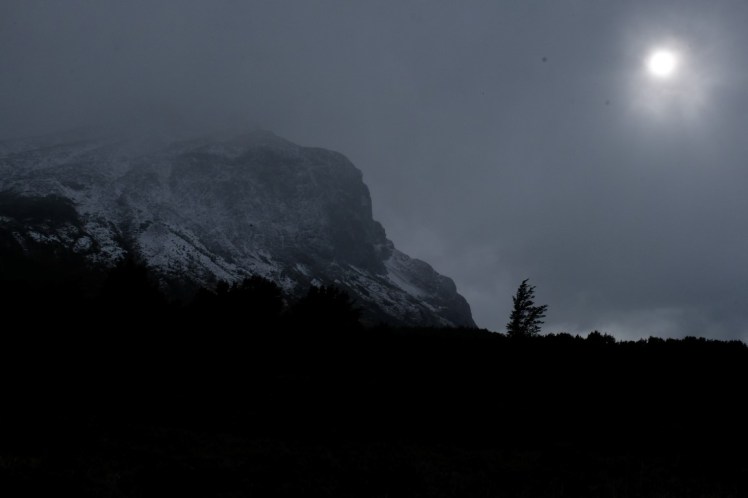 DSCF4077 (Medium).JPG