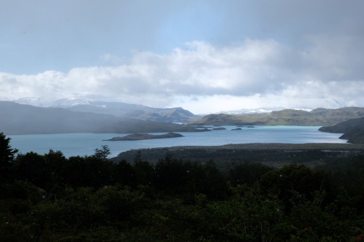 DSCF4080 (Medium).JPG