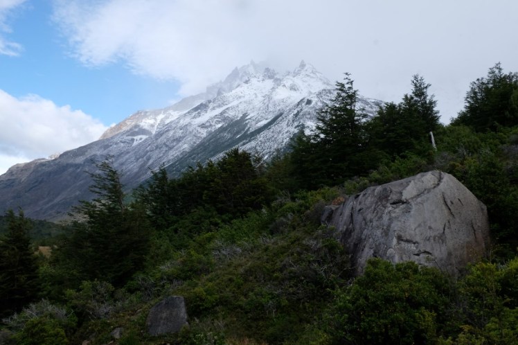 DSCF4088 (Medium).JPG