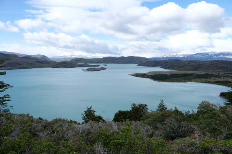 DSCF4094 (Medium).JPG