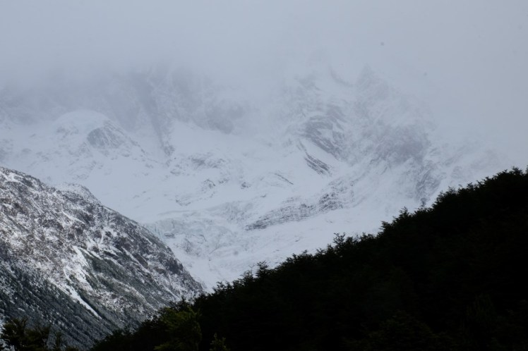 DSCF4099 (Medium).JPG