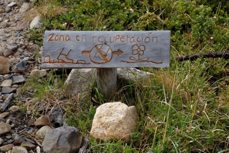 DSCF4101 (Medium).JPG