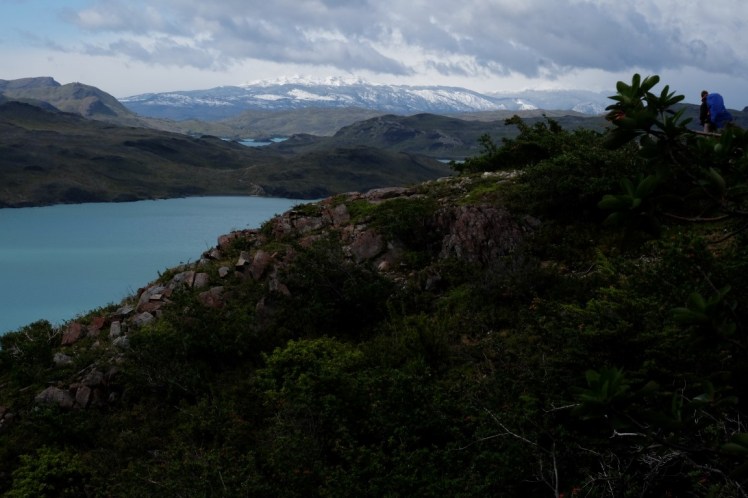 DSCF4107 (Medium).JPG