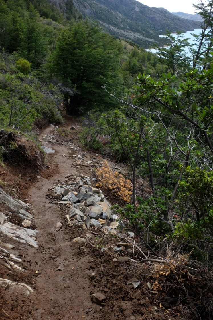 DSCF4109 (Medium).JPG